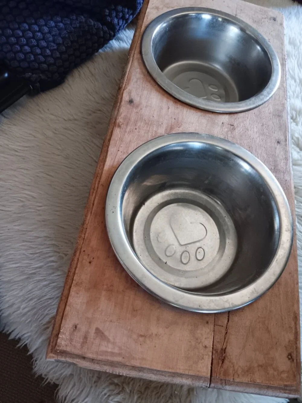 Feed Your Furry Family! 3 pc elevated pet feeder